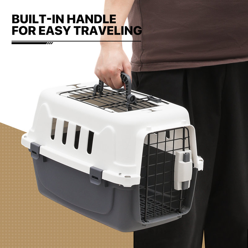 Pet travel fashion carrier